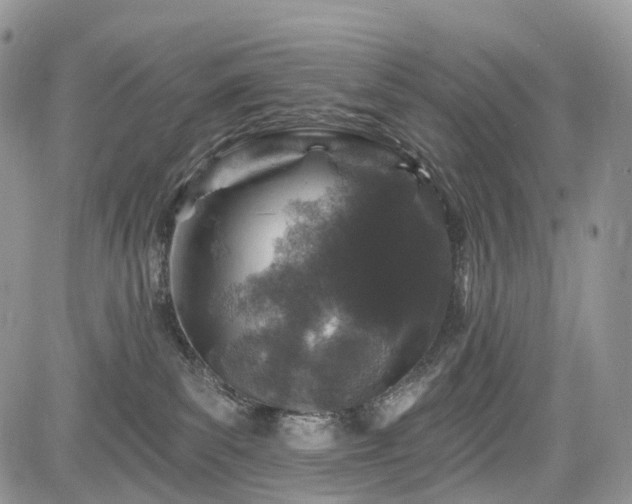 X0000085260139200703161414