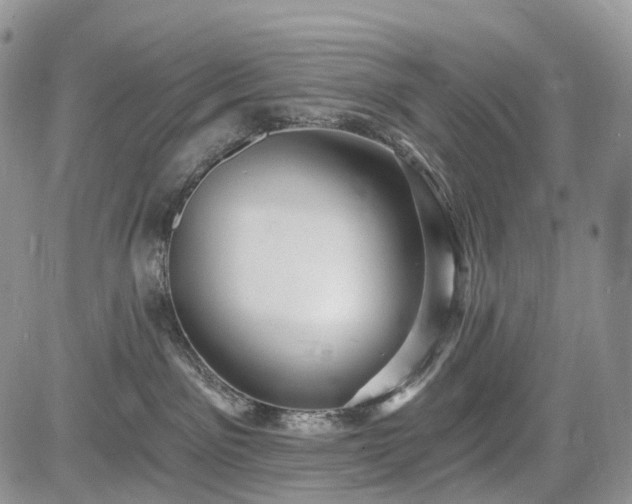 X0000085260141200703161413