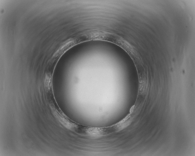 X0000085260142200703161413