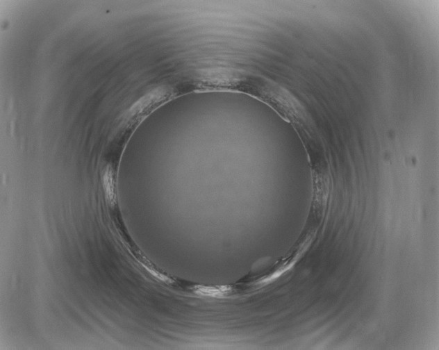 X0000085260143200703161413