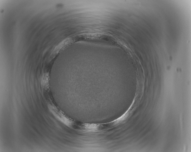 X0000085260144200703161413