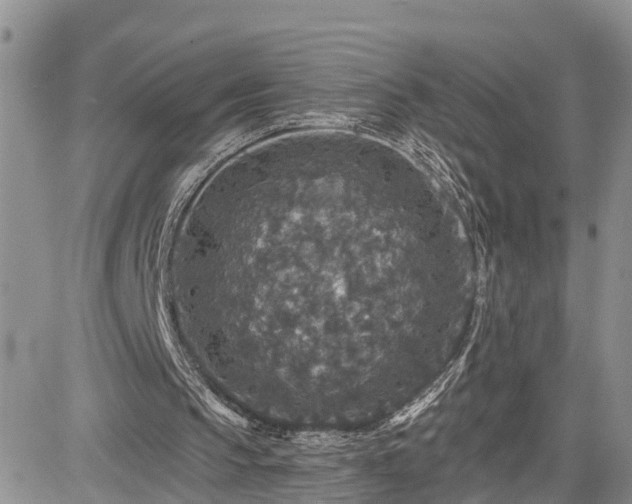 X0000085260145200703161413