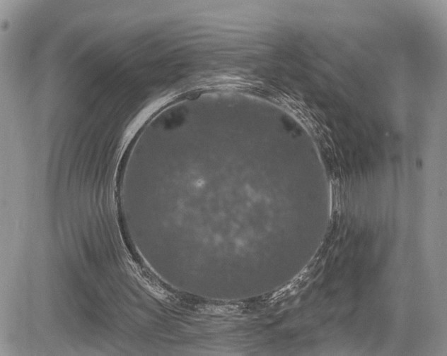 X0000085260147200703161413