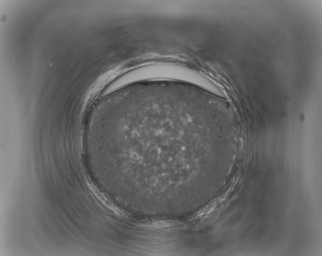 X0000085260149200703161413