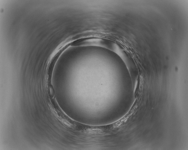 X0000085260150200703161413