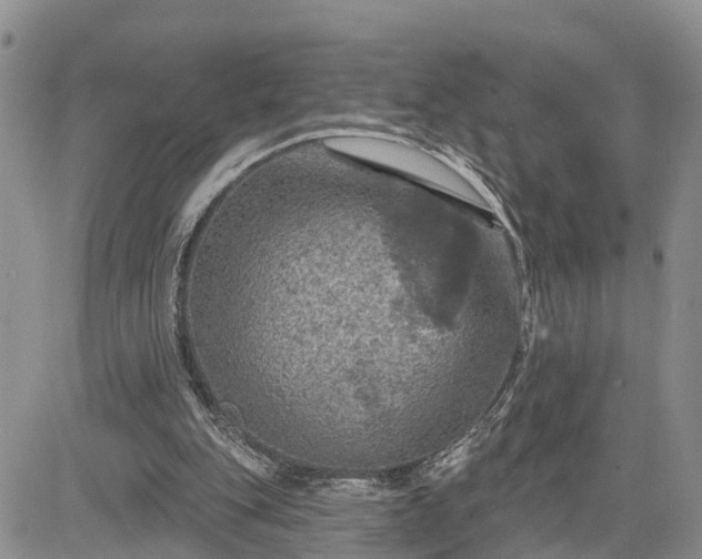 X0000085260151200703161413