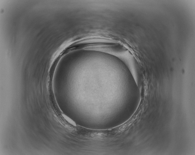 X0000085260152200703161413