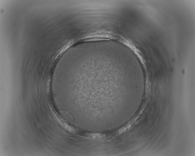 X0000085260153200703161413