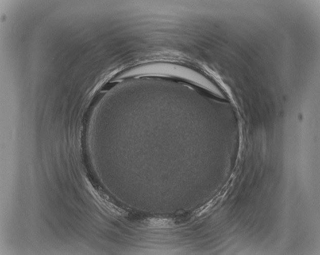 X0000085260154200703161413