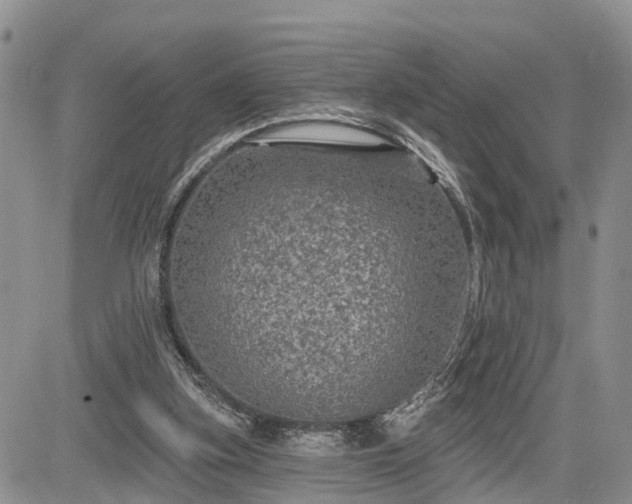 X0000085260155200703161413