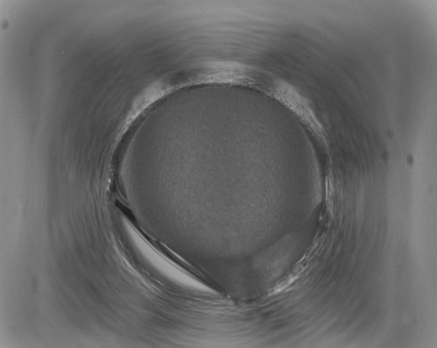 X0000085260156200703161413