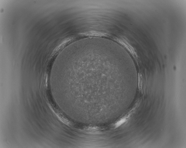 X0000085260157200703161413