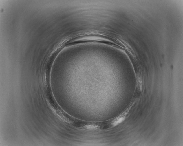 X0000085260158200703161413