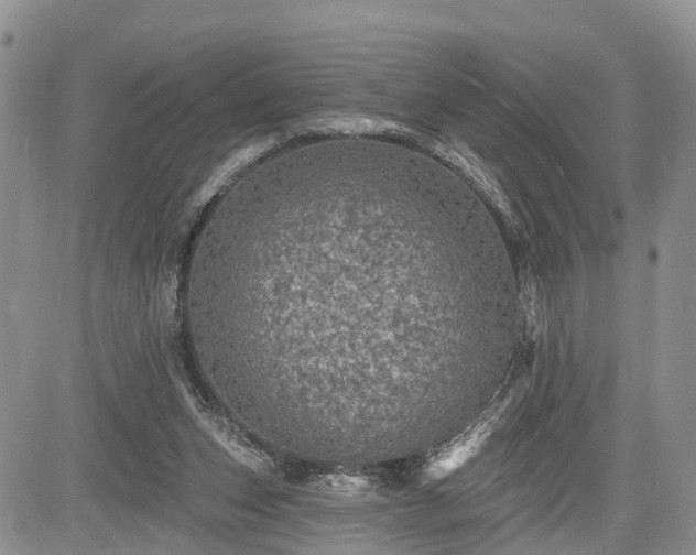 X0000085260159200703161413