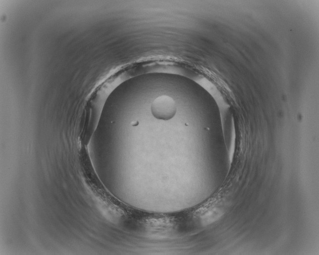 X0000085260160200703161413