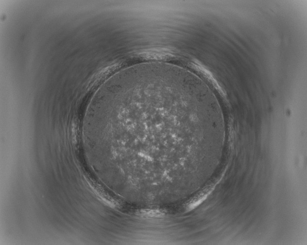 X0000085260161200703161413