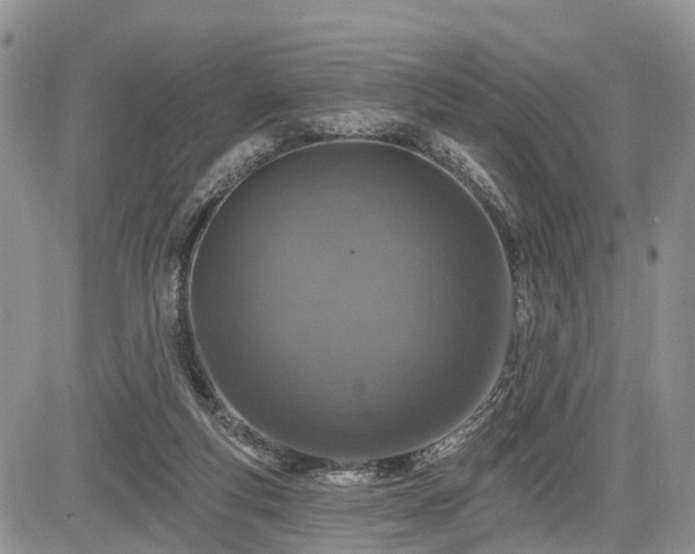 X0000085260163200703161413