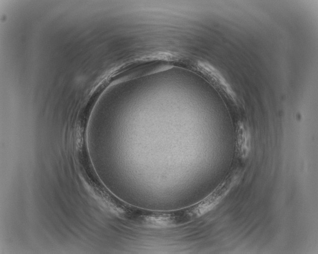 X0000085260164200703161413