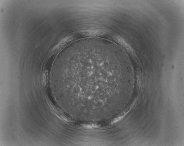 X0000085260165200703161413