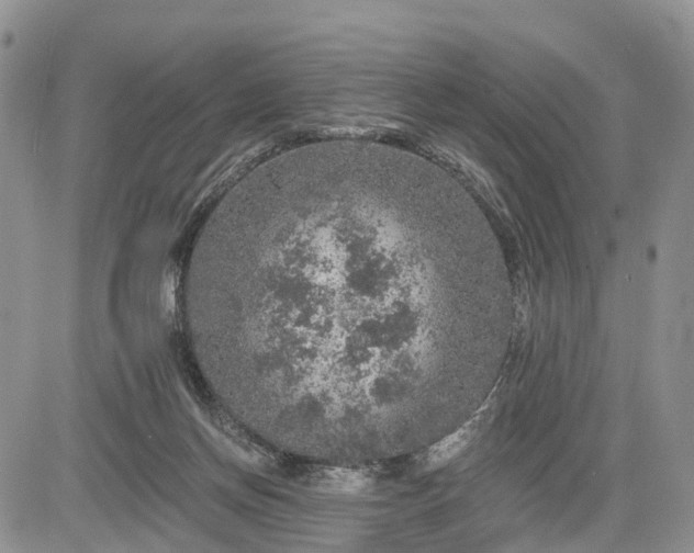 X0000085260166200703161413