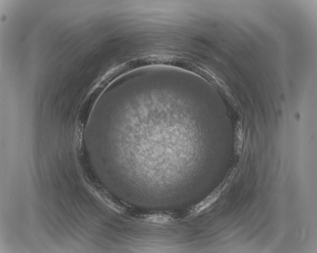 X0000085260168200703161413