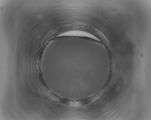 X0000085260169200703161413