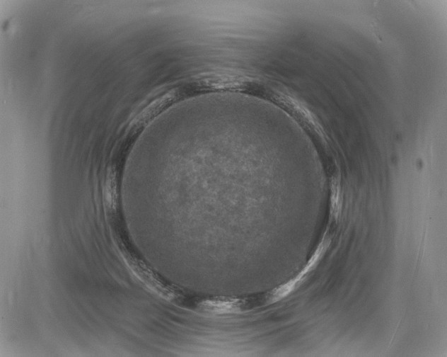 X0000085260170200703161413