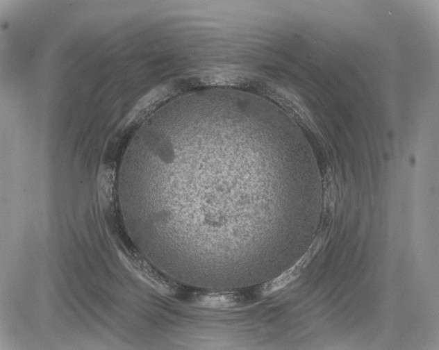 X0000085260171200703161413