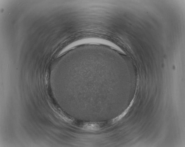 X0000085260174200703161413