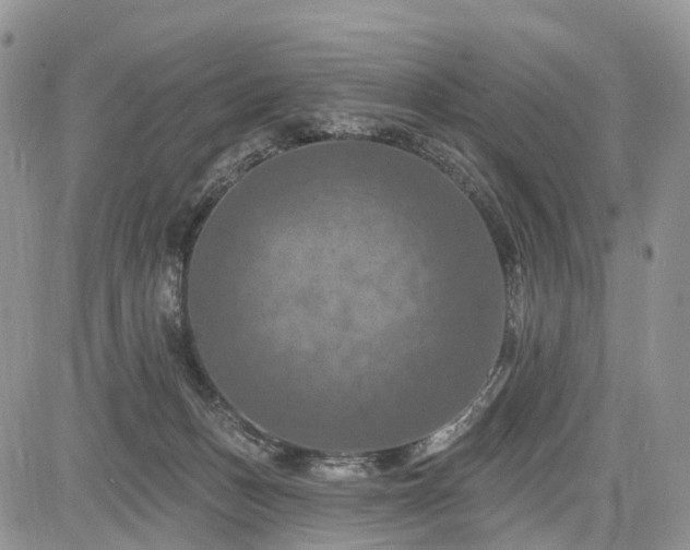 X0000085260175200703161413