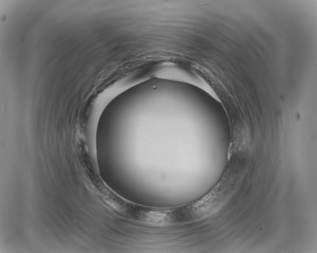 X0000085260176200703161413