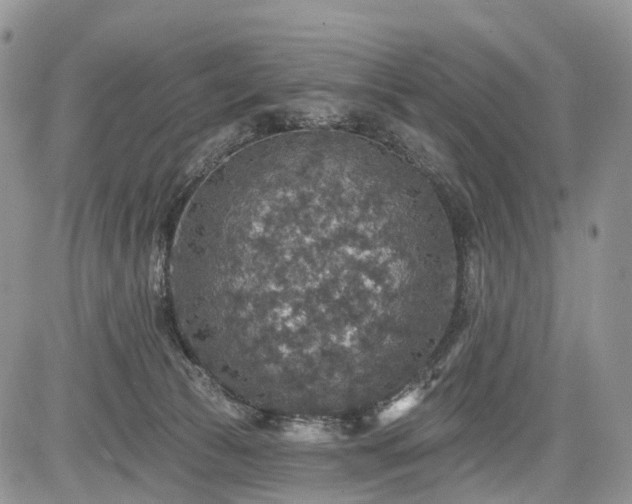 X0000085260177200703161413