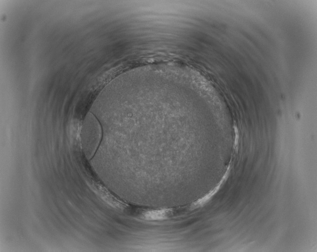 X0000085260178200703161413