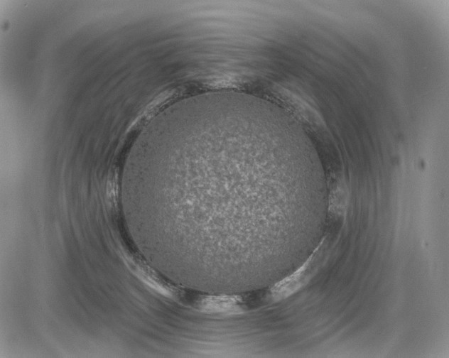 X0000085260179200703161413