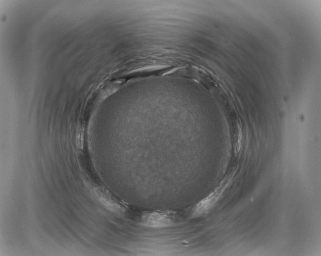 X0000085260180200703161413