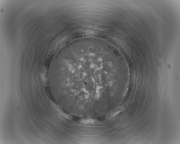 X0000085260181200703161413