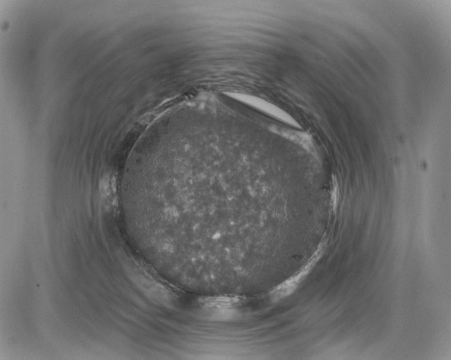 X0000085260182200703161413