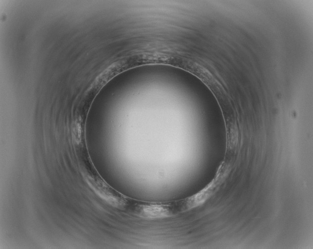 X0000085260183200703161413