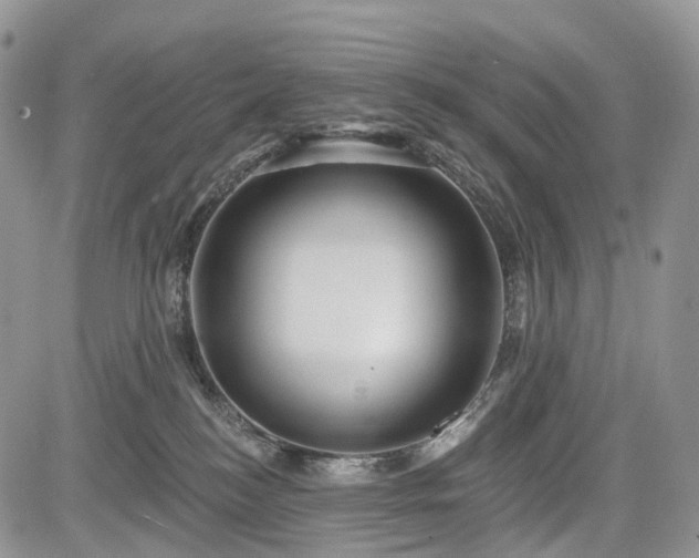 X0000085260184200703161413