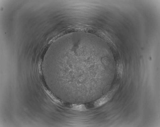 X0000085260185200703161413