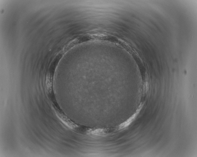 X0000085260186200703161413