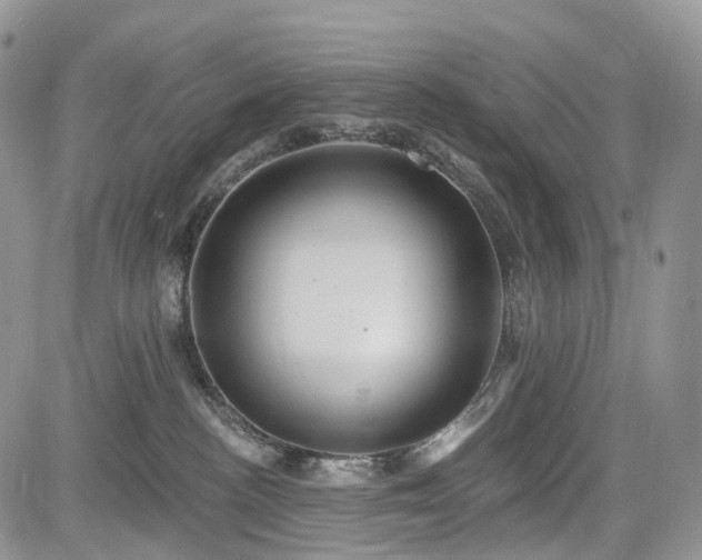 X0000085260188200703161413