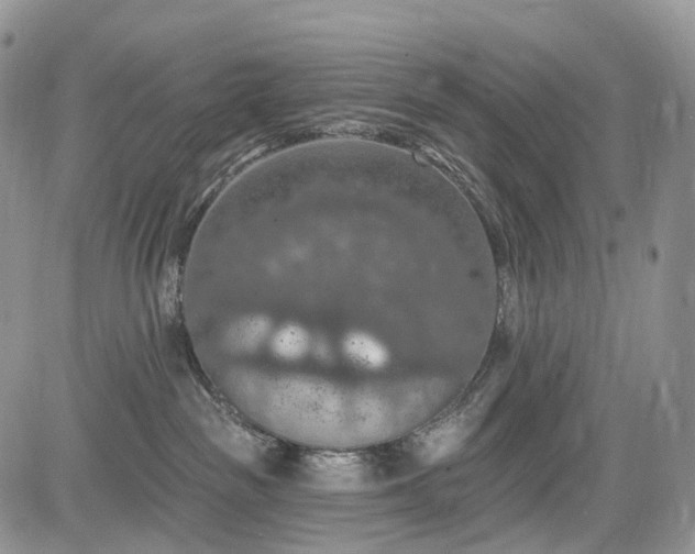 X0000085260189200703161413