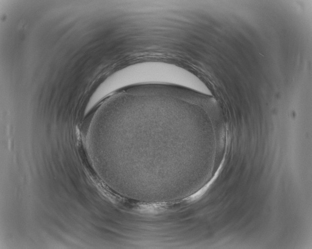 X0000085260190200703161413