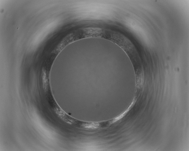 X0000085260191200703161413