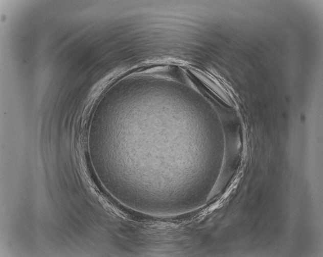 X0000085260193200703161413