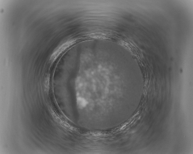 X0000085260194200703161413