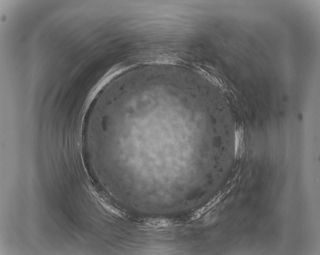 X0000085260195200703161413