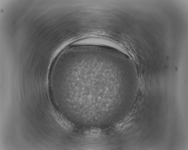 X0000085260196200703161413