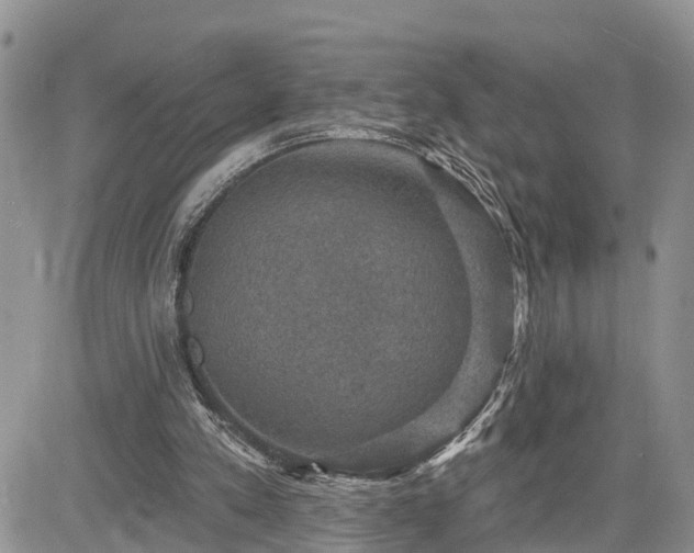 X0000085260197200703161413